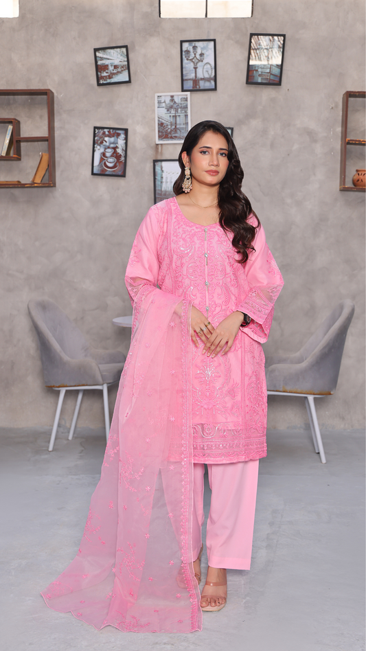 Organza embroidery 3 piece dress 👗